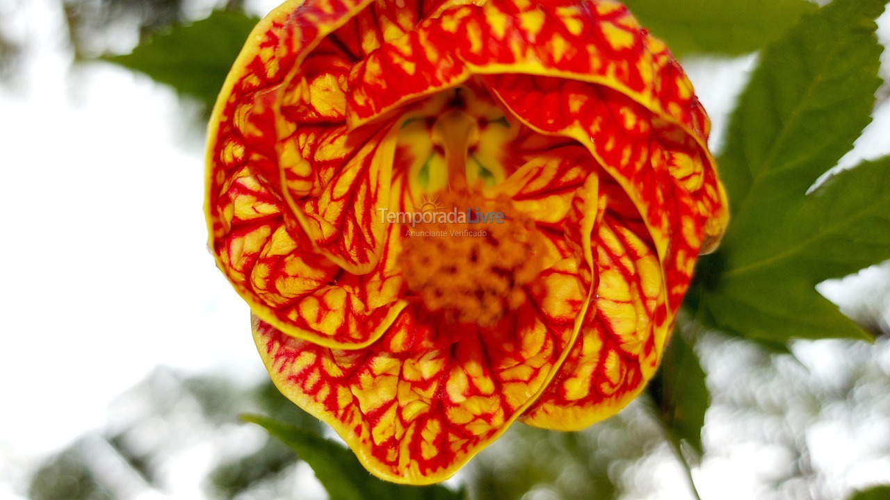 Casa para alquiler de vacaciones em Arraial D'ajuda (Arraial dajuda)