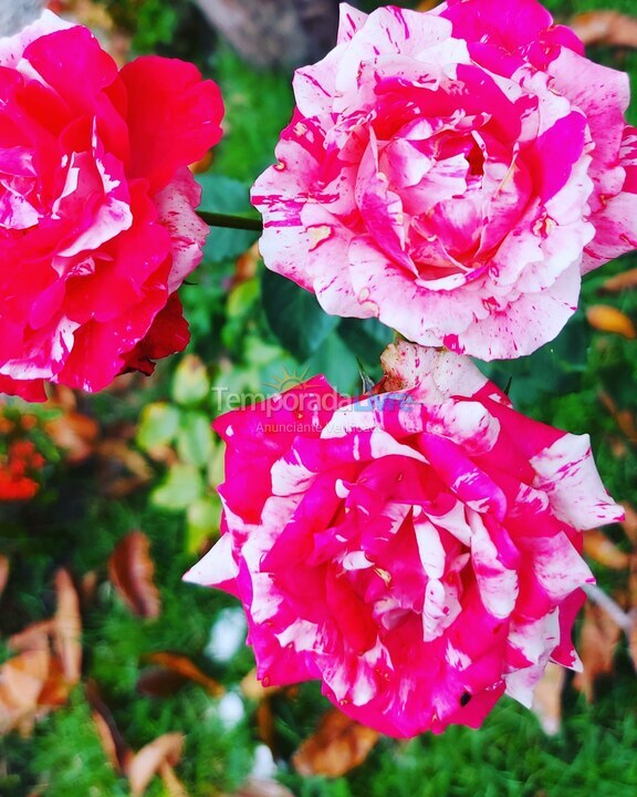 Casa para alquiler de vacaciones em Arraial D'ajuda (Arraial dajuda)
