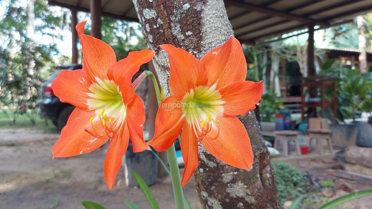 Casa para alquiler de vacaciones em Arraial D'ajuda (Arraial dajuda)