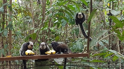 Hermosa Casa Ecológica a 8 minutos del centro de Arraial