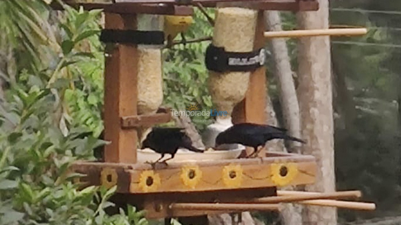 Chácara / sítio para aluguel de temporada em Atibaia (Portão)