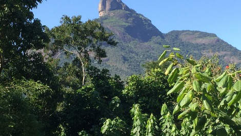 Casa Moderna, contemporânea e integrada a natureza - Aluguel ANUAL