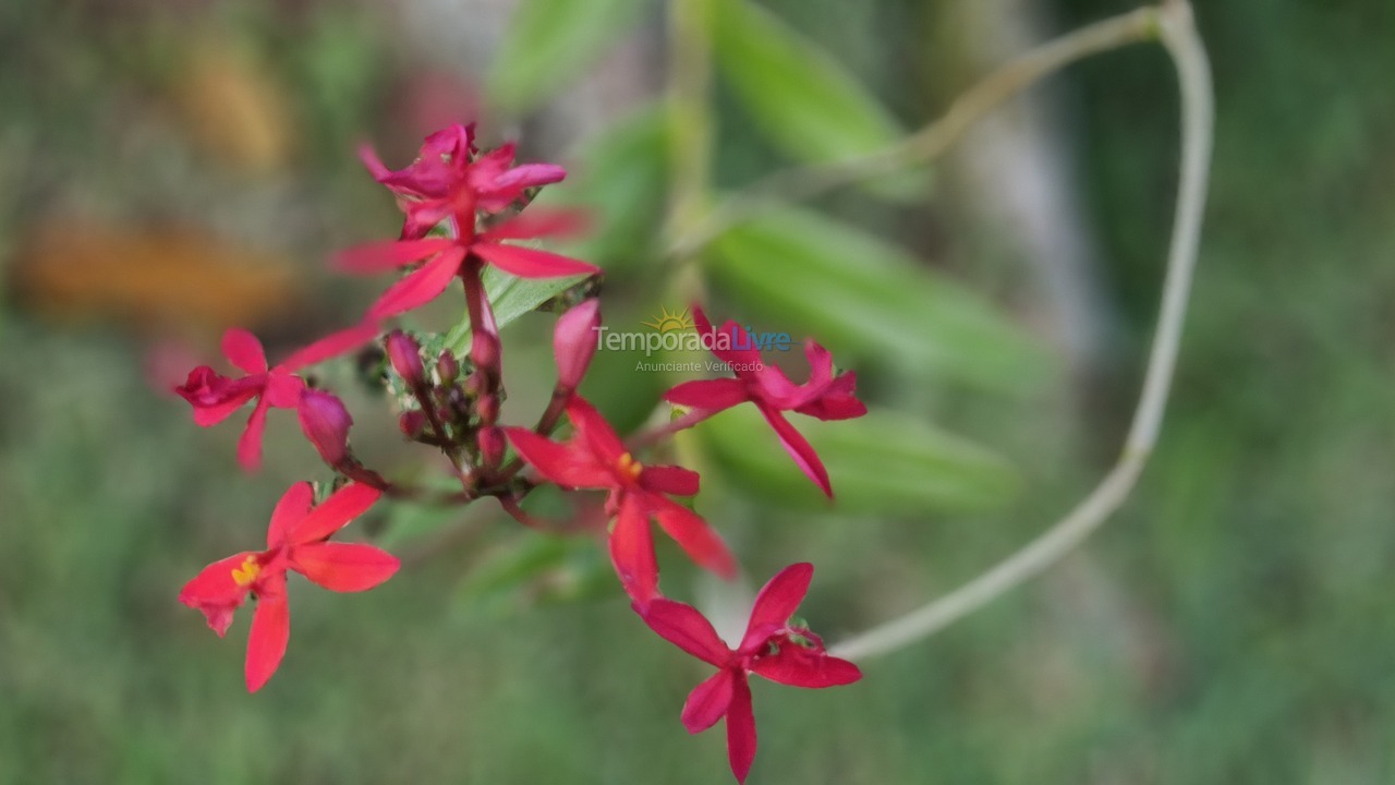 Casa para alquiler de vacaciones em Arraial D'ajuda (Arraial dajuda)