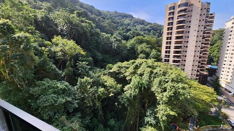 Mata atlantica vista da sacada