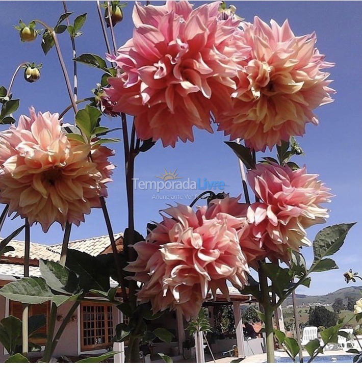 Ranch for vacation rental in Socorro (Rancho Alegre)