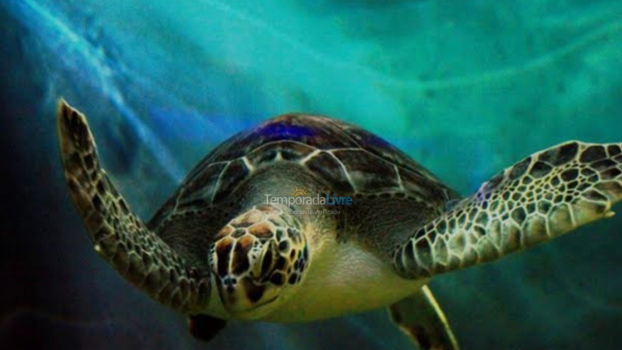 Casa para alquiler de vacaciones em Praia Grande (Balneário Maracanã)