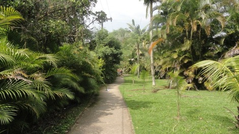 Apto P. das Toninhas, 7 pessoas, 150m da Praia, 2 Q- Ar Cond - Wi-Fi