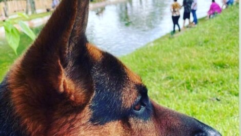 Glass house for rent with fishing included