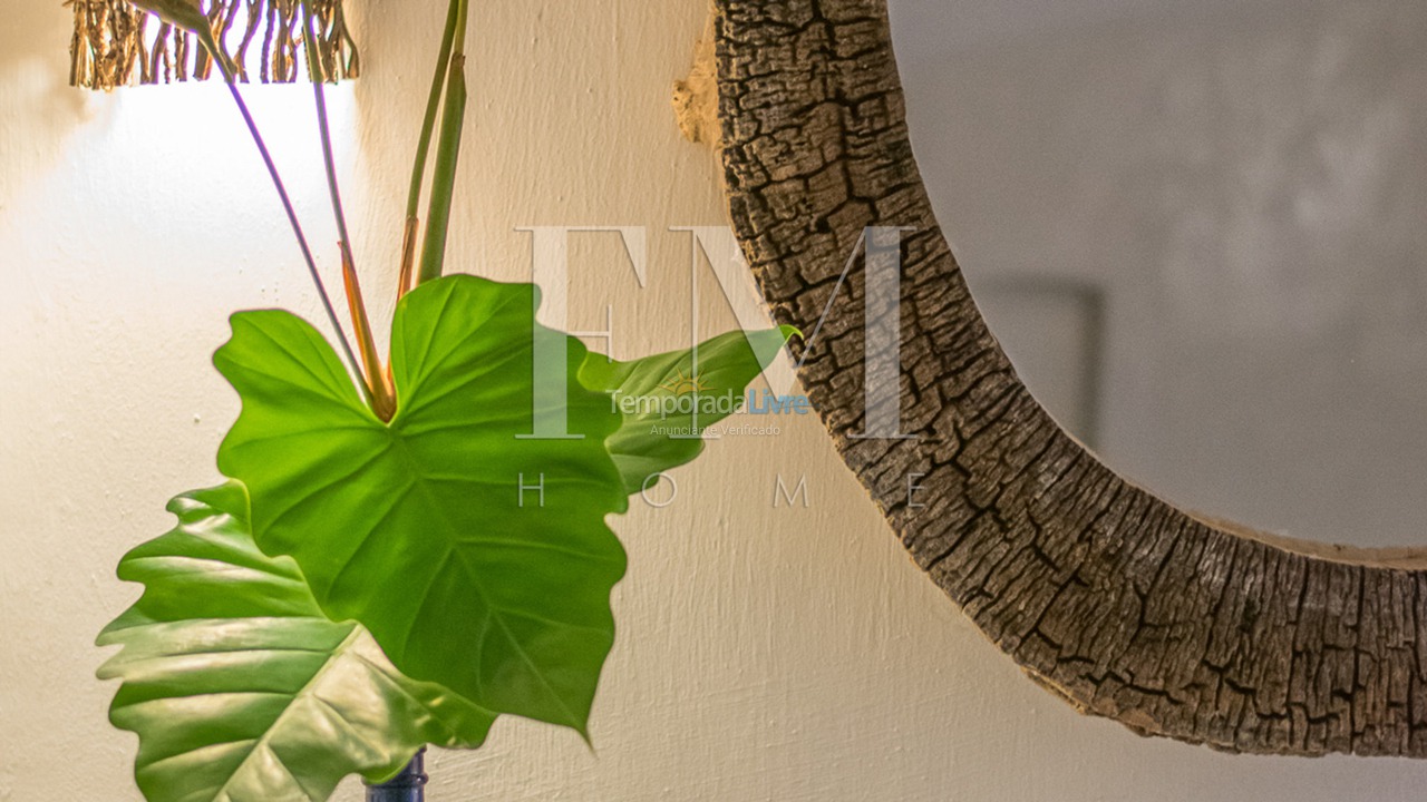 House for vacation rental in Porto Seguro (Trancoso Ba)