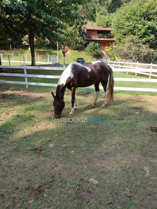 Ranch for vacation rental in Paracambi (Ponte Coberta)