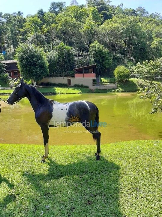 Ranch for vacation rental in Paracambi (Ponte Coberta)