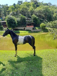 Beautiful Place/Haras