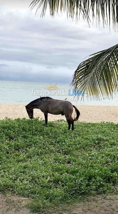 House for vacation rental in Ipojuca (Praia de Serrambi)