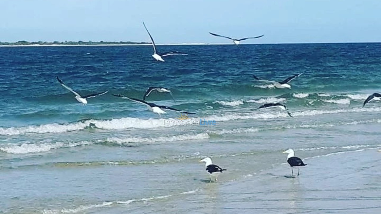 Apartamento para aluguel de temporada em Guaraqueçaba (Ilha de Superagui)