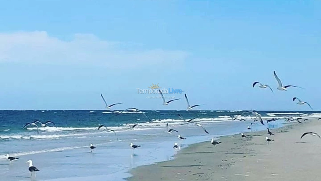 Apartamento para aluguel de temporada em Guaraqueçaba (Ilha de Superagui)