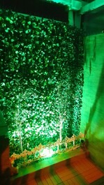 Studio apartment in Itanhaém SP with private pool