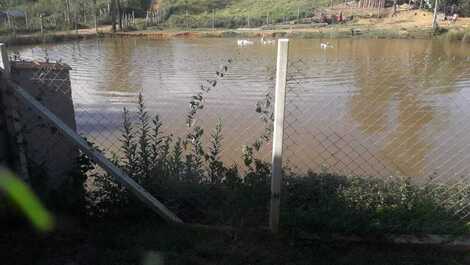 Lago com deck para pesca nativa