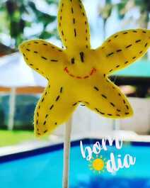 Wonderful house with pool on Lagoinha beach - 14 persons