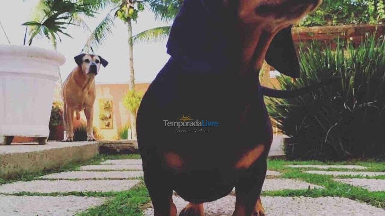 House for vacation rental in Guarujá (Praia do Pernambuco)