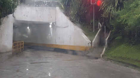 Casa de playa rodeada por la selva atlántica tranquilidad y seguridad