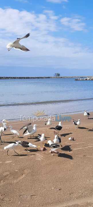 Casa para alquiler de vacaciones em Laguna (Ponta da Barra)