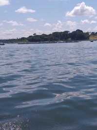 Ranch, Vacation Rental