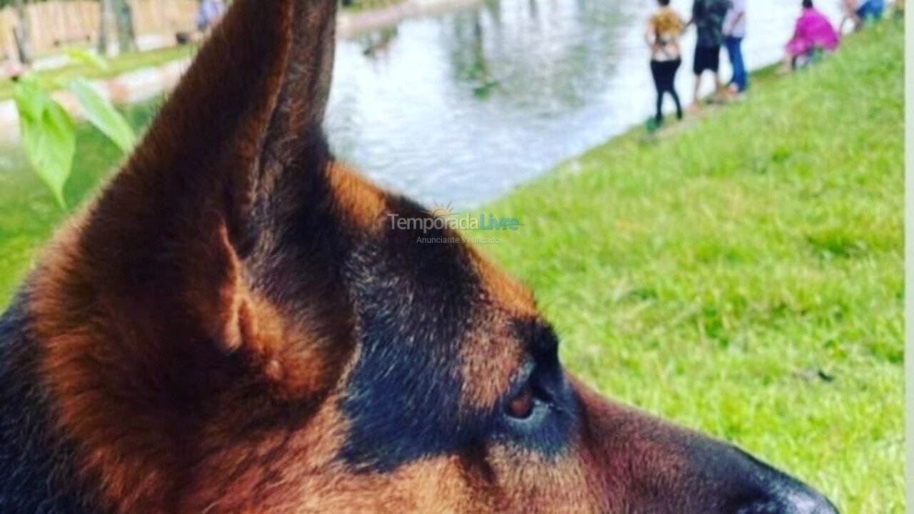 Apartment for vacation rental in Arapongas (Vila Brasil)