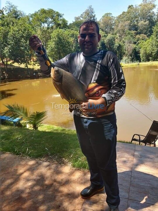 Apartment for vacation rental in Arapongas (Vila Brasil)