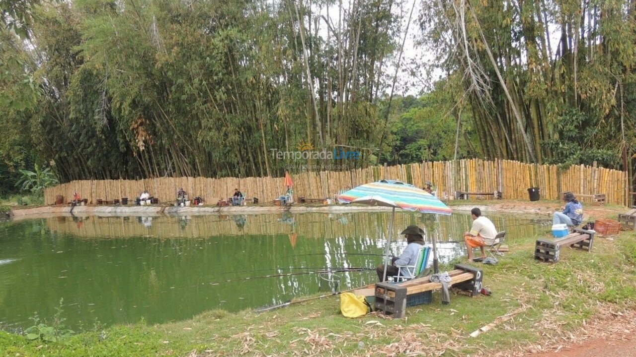 Apartment for vacation rental in Arapongas (Vila Brasil)