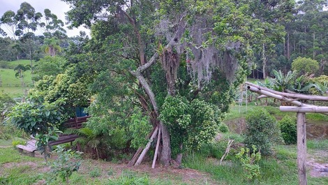 Sítio em Imaruí - SC