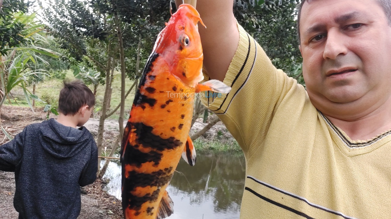 Chácara / sítio para aluguel de temporada em Imaruí (Sertao do Canguiri)