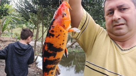 Sítio em Imaruí - SC