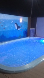 Casa de piscina veraneio