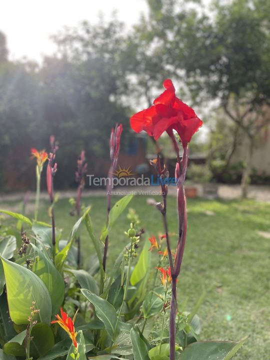 Casa para aluguel de temporada em Florianopolis (Daniela)