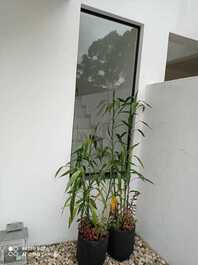 Great house in Mariscal