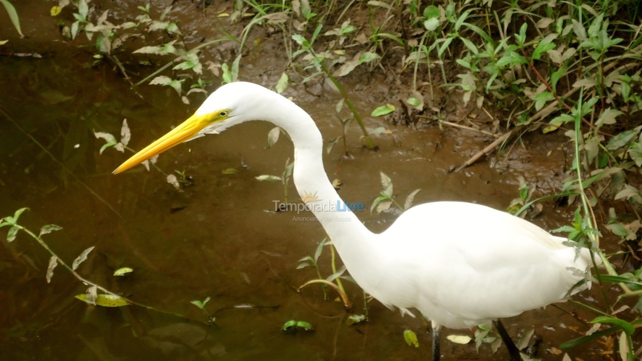 Casa para aluguel de temporada em Florianopolis (Daniela)