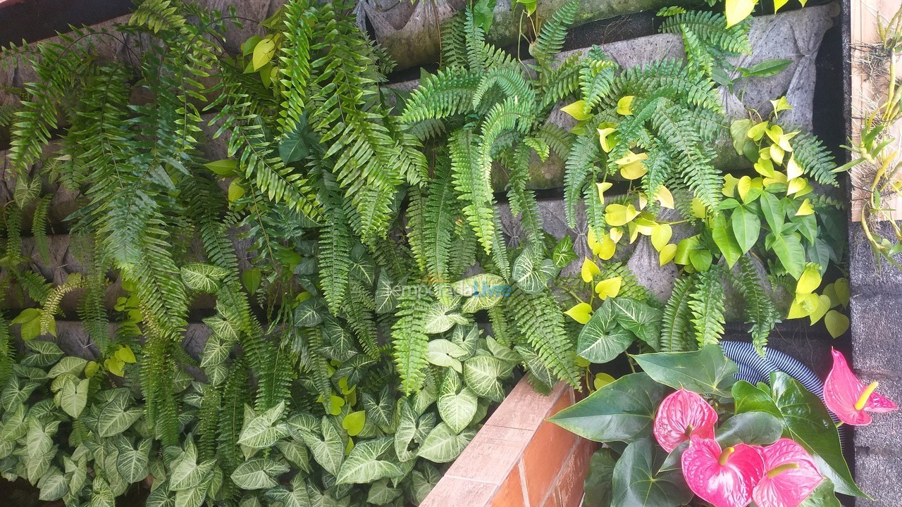 Chácara / sítio para aluguel de temporada em Socorro (Lavras de Baixo)