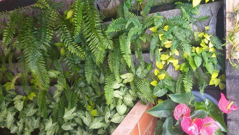 Chácara Rancho do Lago ao meio da natureza