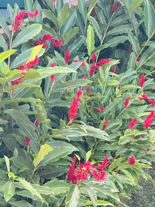 House for vacation rental in São Sebastião (Maresias)