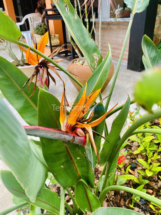 House for vacation rental in São Sebastião (Maresias)