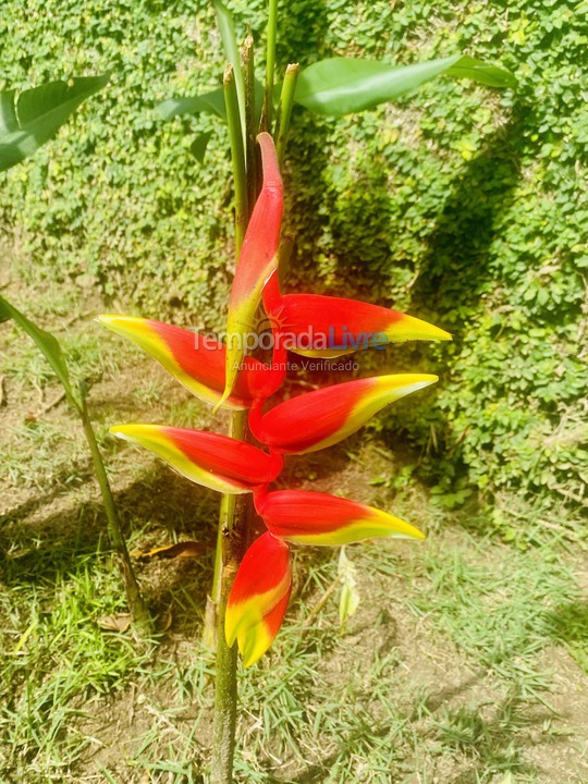 House for vacation rental in São Sebastião (Maresias)