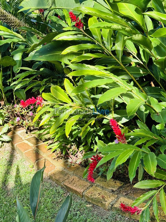 House for vacation rental in São Sebastião (Maresias)