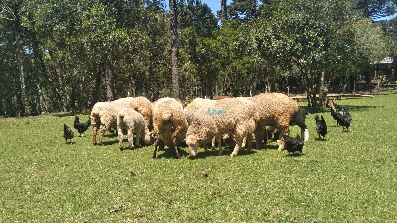 Casa para aluguel de temporada em São Joaquim (Interior Localidade Sumidouro A 15 Km da Cidade)