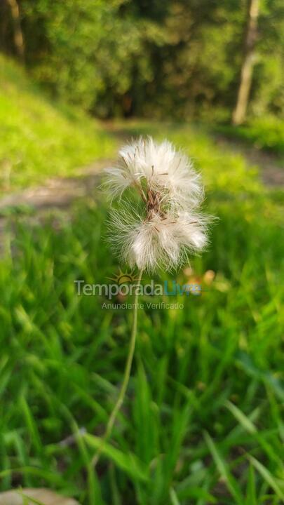 Ranch for vacation rental in Magé (Praia de Mauá)