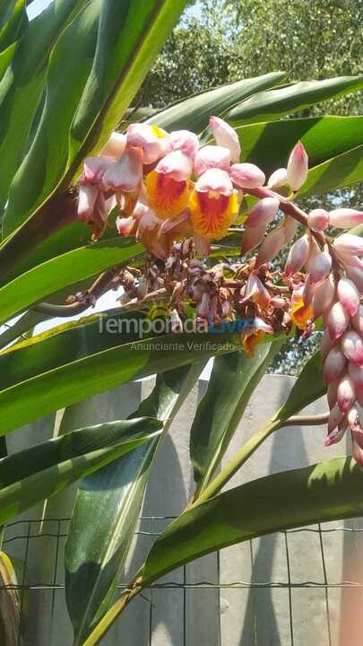 House for vacation rental in Ubatuba (Vila Rolim)