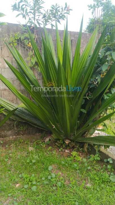 House for vacation rental in Ubatuba (Vila Rolim)