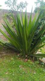 Between Paraty and Ubatuba, lush beaches! close to the track and beaches