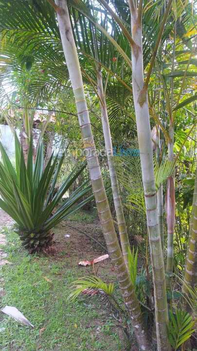 House for vacation rental in Ubatuba (Vila Rolim)