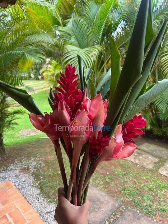 House for vacation rental in São Sebastião (Camburi)