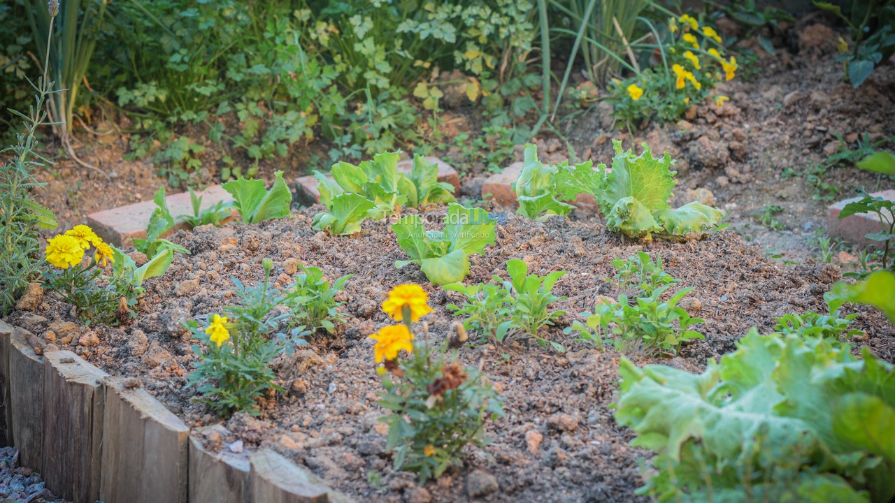 Casa para aluguel de temporada em Gravatal (Termas)
